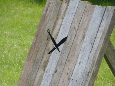 Throwing knives in a target